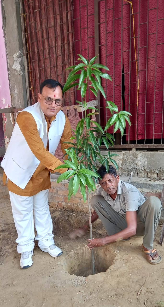 वृक्षारोपण अभियान